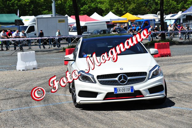 DSC_2704.jpg